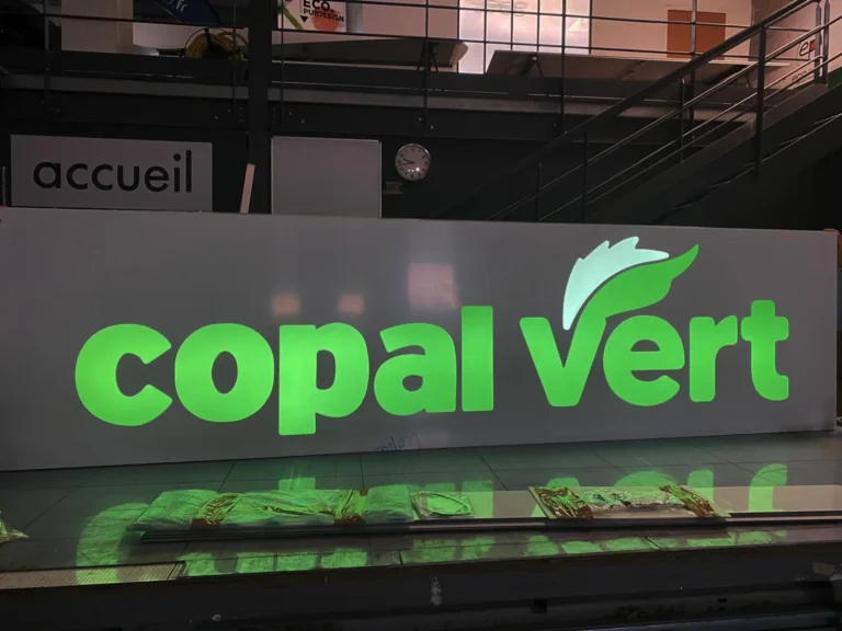 Fabrication et pose d’un caisson lumineux rectangulaire pour Copal à Montpellier